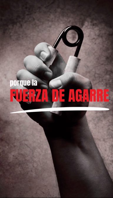 LA FUERZA DE AGARRE